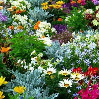 Kim55920303's profile picture. 