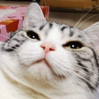 oldwhite (@oldwhite01) 's Twitter Profile