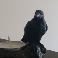 Crypto Baal (@the_crypto_baal) 's Twitter Profile