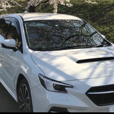 W78Bw's profile picture. 英会話、旅行、セサミストリート、NikonD4s