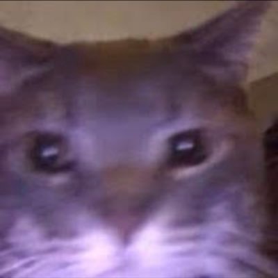 nothoenata's profile picture. ti-84 owner (rose gold edition) | former user of the ti-84 plus C silver