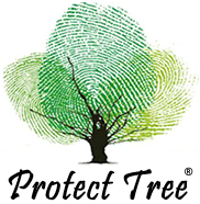 Protect Tree