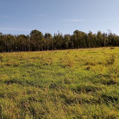 This Twitter account is to promote the establishment of at least one Natural Burial Site in NI