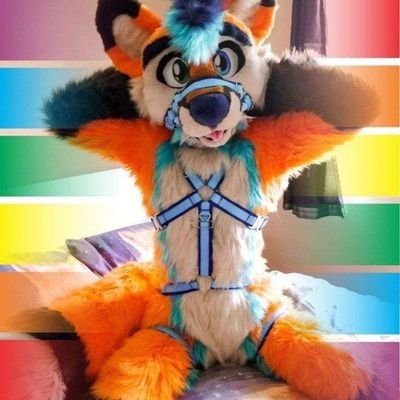 Main Account | 🔞18+ Only🔞 |
https://t.co/0qxOfEDKcE |
Taken by @ShiinsuhAD 🧡🩵🩷 |

Fursuit by @DMCostumes