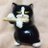 空色の黒猫のアイコン