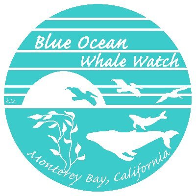 Visit Blue Ocean Whale Watch Profile