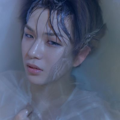 4123waves's profile picture. 🌟 fan account #다니티 🌟 to create light is to endure burning 🌟