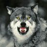 JohnRoberts1023's profile picture. #Biden #Harris #resister #resist #FBR #ally #lgbtq #blm Ally 🌈