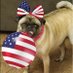 Rosie the Patriot Pug 🇺🇸 (@pug_rosie) Twitter profile photo Rosie the Patriot Pug 🇺🇸 (@pug_rosie) Twitter profile photo