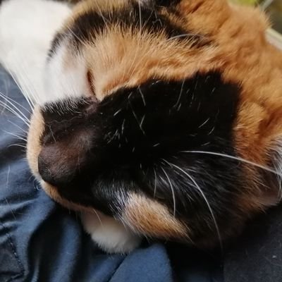 ヴァイスメインでやってます。
基本大宮、池袋メインでフリプ募集してます。
面識なくても初心者でも気にしないのでお気軽に連絡ください。