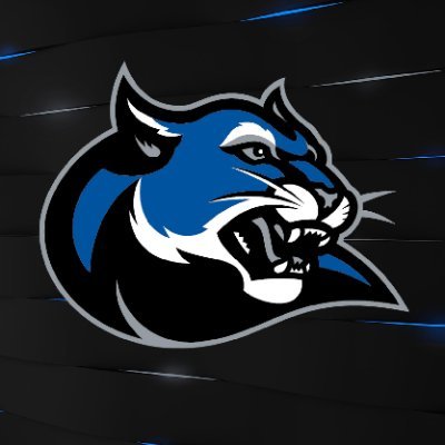 The official page for the Culver-Stockton College Esports program. Soliciting players for League of Legends, Overwatch, Rocket League and more!