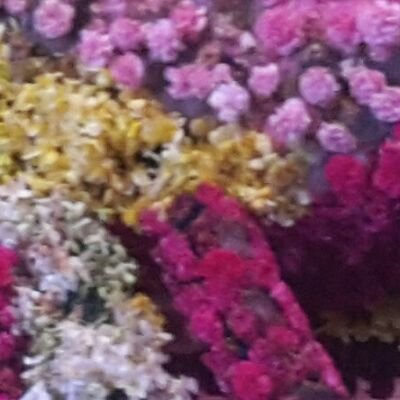 Divya24539903's profile picture. 