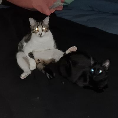 LeguizamonYair's profile picture. Hola soy Argentino, tengo 37 años y fanático del manga y anime y de la vieja escuela. Gracias x seguirme.