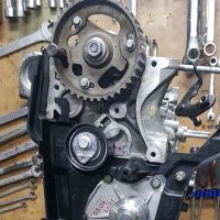 Stevan (@stevan75254381) 's Twitter Profile