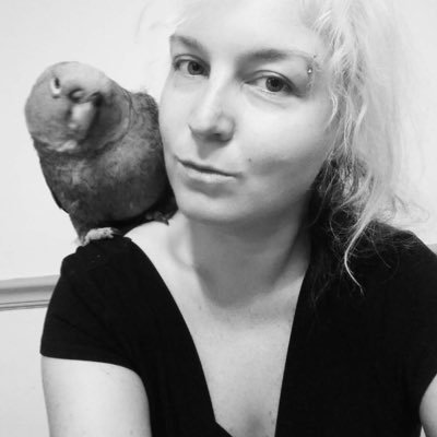 nctwe1134's profile picture. Love rock music, fast muscle car (60’s early 70) motorcycles, tattoos, concerts, boating, road trips, painting, drawing, values family time.