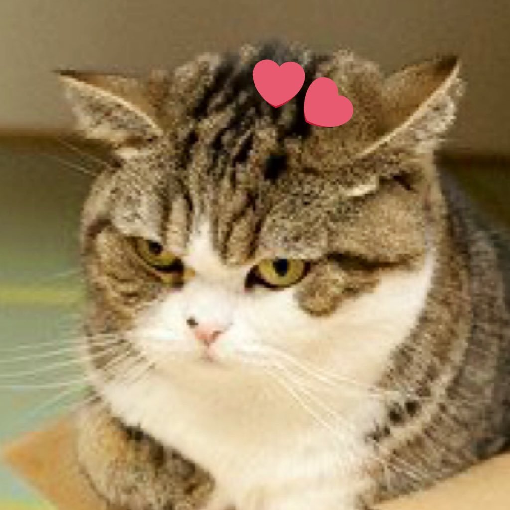 👀👄👀さんのプロフィール画像