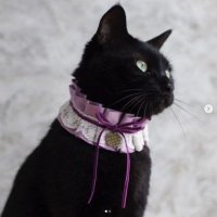 なん@裏垢 (@nan9114tw2) Twitter profile photo