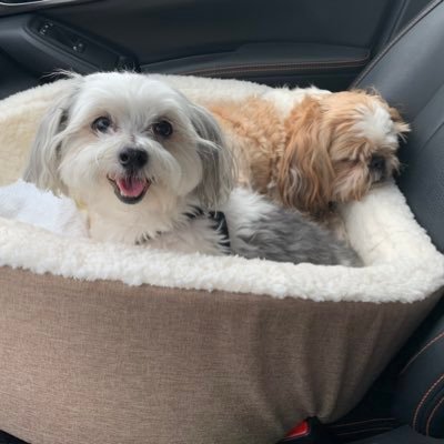 janiceNeuwirth's profile picture. 