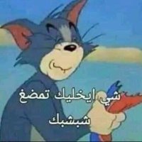 سيد الغربة الغربة (@notaliwa) 's Twitter Profile Photo