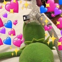 Fikus (@kwiatfikusa) 's Twitter Profile Photo