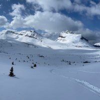 Jeremy (@yyc_jk) 's Twitter Profile