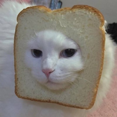 sadburgerY's profile picture. 去码头搞点薯条