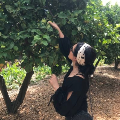 Sabeehah_KG's profile picture. no rain. no flowers. UX Designer.