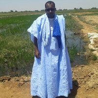 د.حمادي جقدان (@geghdane) 's Twitter Profile
