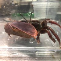 アクアフィールド @アクアリウムバス 3/30(SUN) (@aquafield_tokyo) 's Twitter Profile