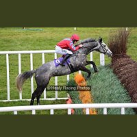 Mikey Fitzgerald (@mikeyfitz91) 's Twitter Profile