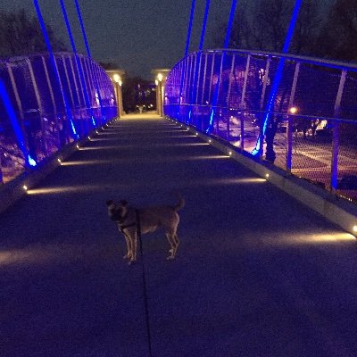 ScottKr26031052's profile picture. 