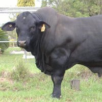 Jon Lang (@jlangl01s) 's Twitter Profile