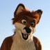 Kyoto Fox (@kyotofox) Twitter profile photo