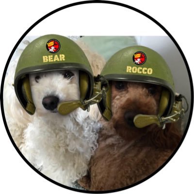 2 Fur bro’s living our best life, love cuddles playtime and treats..faves cheese and sausages & most of all being Sgts of #ZSHQ Red Rocco & Mr. Bear.🐾♥️🐾no DM