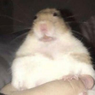 I’ve only tweeted a few times and I already hate it here