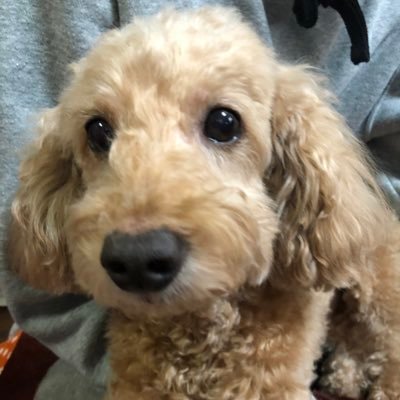 6DgspCYWaOlsu62's profile picture. サーバーJ6 エバテたまに出現中  アカウント預けている事もあるので連絡遅くなったらごめんなさい( ᴗˬᴗ)