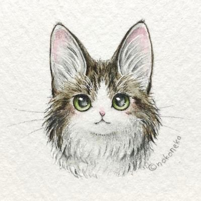 ishikura0113's profile picture. ゲームとミルクティーと温泉とねこグッズと麻雀とジャズとだれかとお酒飲むのが好きなの37歳