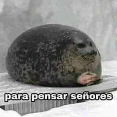 FranciscaMng's profile picture. Buscando un significado