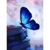 Zehra Mehmet (@zehrame13991958) Twitter profile photo Zehra Mehmet (@zehrame13991958) Twitter profile photo