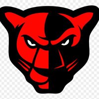 Petal Panther Football(@PetalPantherFB) 's Twitter Profile Photo