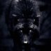 Onemanpunch72 (@graywolf2579) Twitter profile photo Onemanpunch72 (@graywolf2579) Twitter profile photo