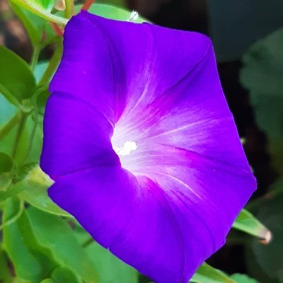 sehr_nk's profile picture. Computational & Theoretical Chemist | she/her