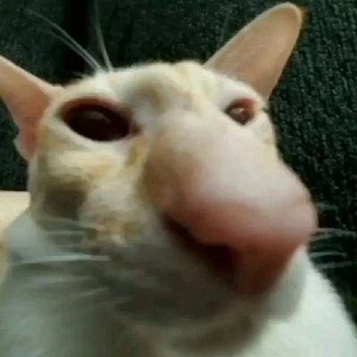 Обычный чел, но необычный для твиттера.