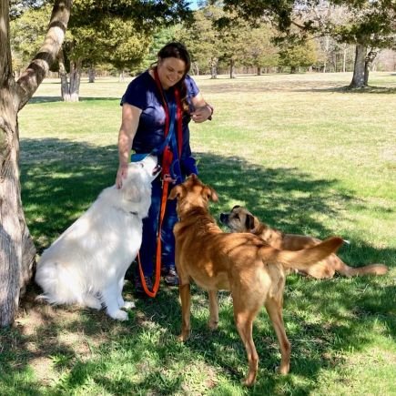 Animal lover, mom, and crazy aunt. I get to play with dogs every day for a living. 🐾🐶