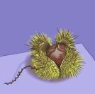 Phlann's profile picture. 