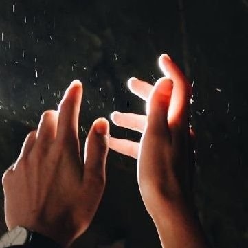 humpback_S2's profile picture. 