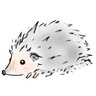 kobalt081's profile picture. Security Analyst | CODE BLUE’21,'22,'23学スタ
