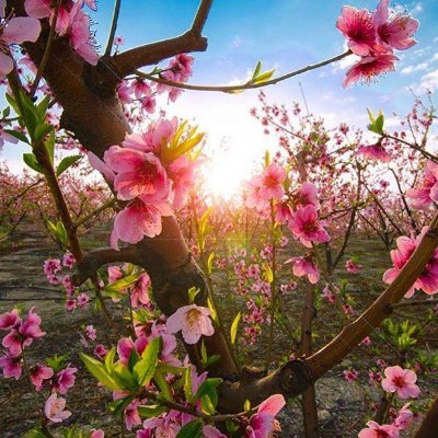 I am lupita,I am happy to share my blog with you,where you can learn about the belief in God, through truth & light in the Bible. God bless you and keep you.