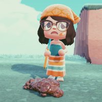 Alohomora🪄 (@wonderingnook) 's Twitter Profile