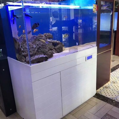 Manufacture & Supply Reef, Freshwater and Mini Aquariums.
Wholeseller of Aquarium Glass Tanks, Cabinets and Sump.
Accept Customized Request and Production.